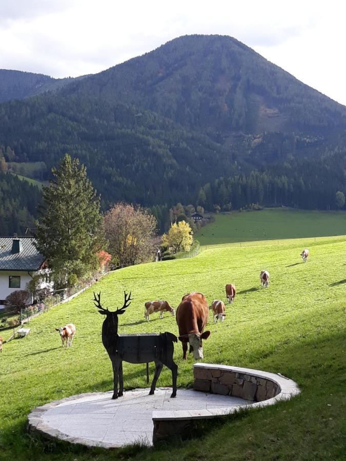 Chalet Weiberle Hochschwab Etmissl Extérieur photo